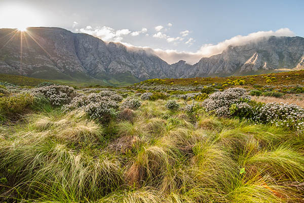 Kogel Berg Biosphere reserve